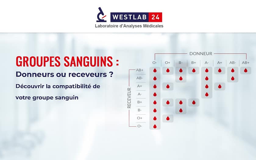 compatibilite sanguine et groupe sanguin